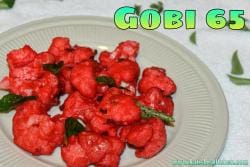 GOBI 65