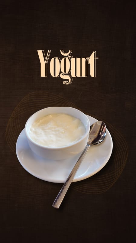 Yoğurt